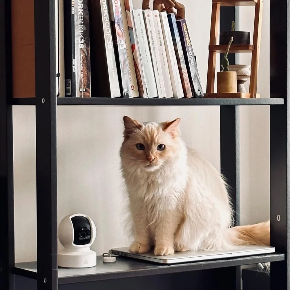 KASA SMART CAMERA 🎥